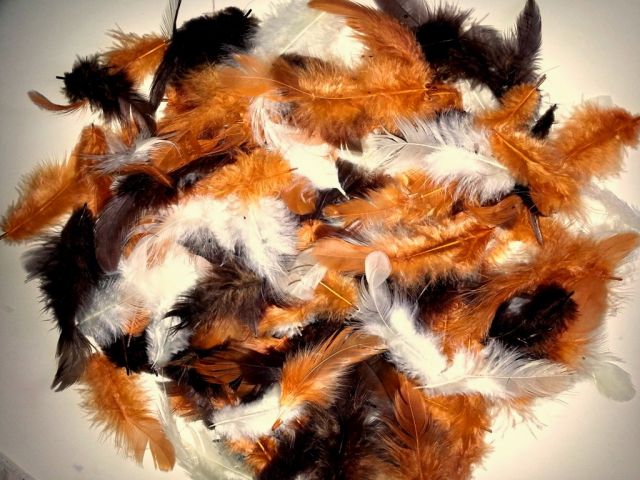 Peří mix ( hnědá, oranžová, bílá )