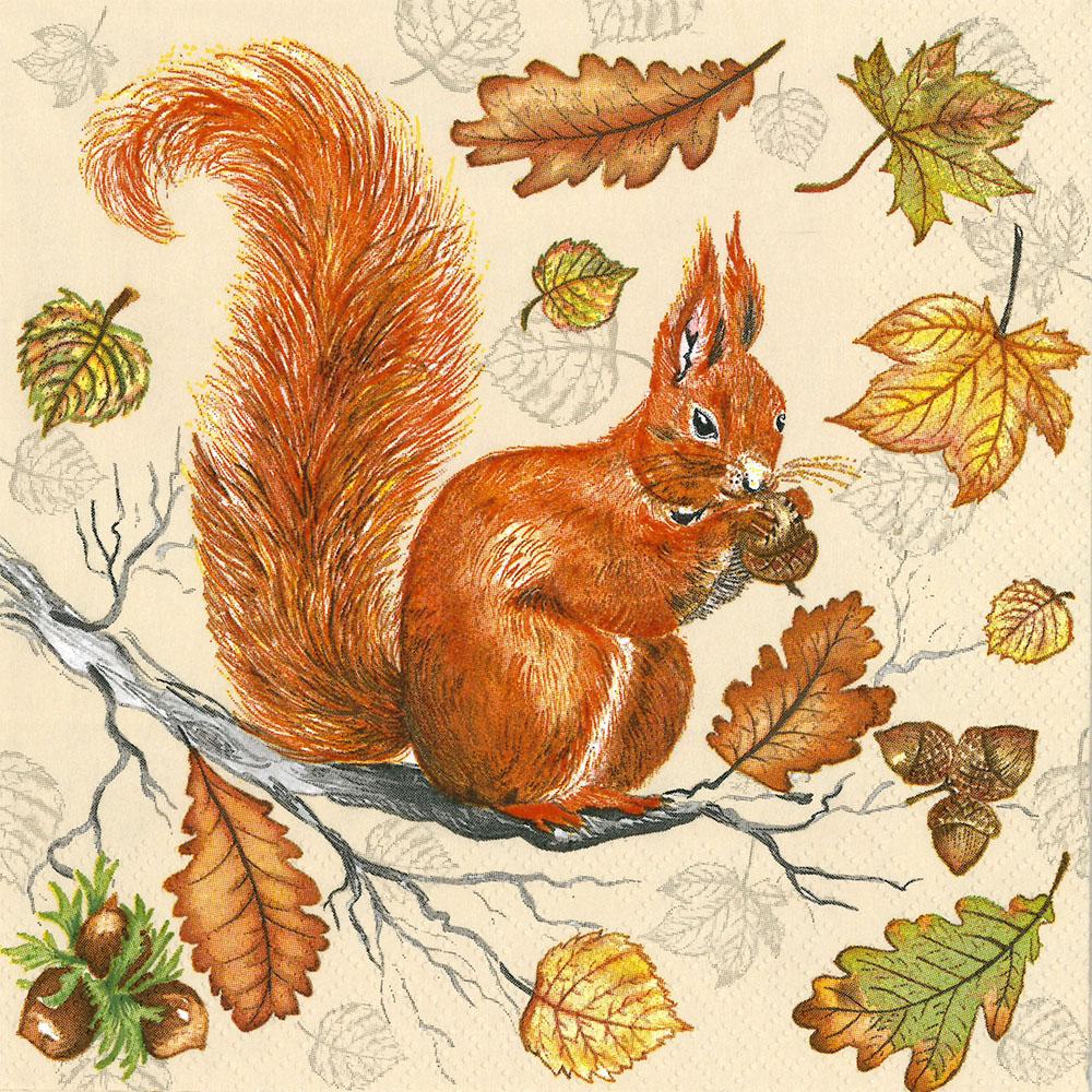 Ubrousek - veverka 33x33 cm